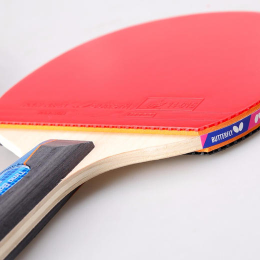 蝴蝶Butterfly TIMO BOLL 3000乒乓球拍 波尔3000全能型成品拍 商品图3