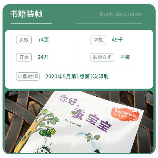 你好，蚕宝宝 幼儿园课程与游戏 商品图3