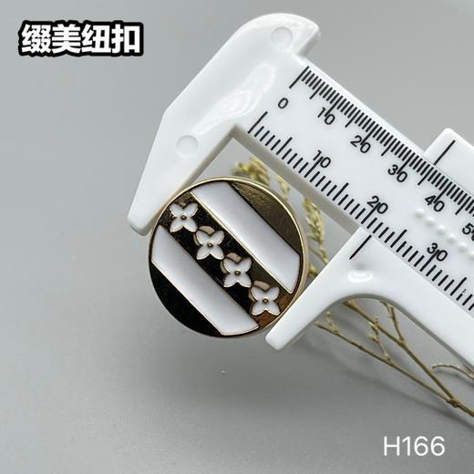 H166(整包购买) 商品图7