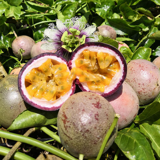 广西百香果，酸酸甜甜富含维C，夏季自做饮品必备 商品图2