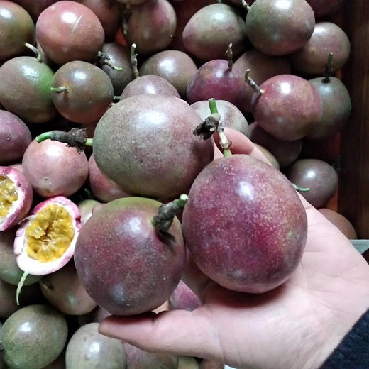 广西百香果，酸酸甜甜富含维C，夏季自做饮品必备 商品图4