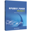 电气设备SF6气体检测与处理技术 商品缩略图0
