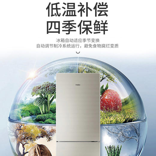 海尔（Haier）冰箱BCD-190WDCO 商品图6