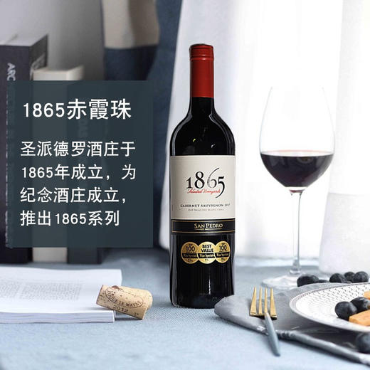 智利原装进口红酒 圣佩特罗1865赤霞珠干红葡萄酒14.5° 750ml 商品图2