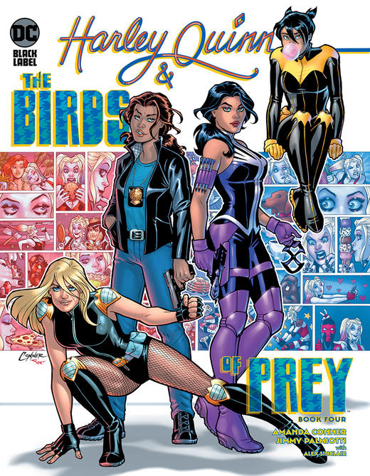 哈莉奎茵和猛禽小队 Harley Quinn And The Birds Of Prey 商品图0