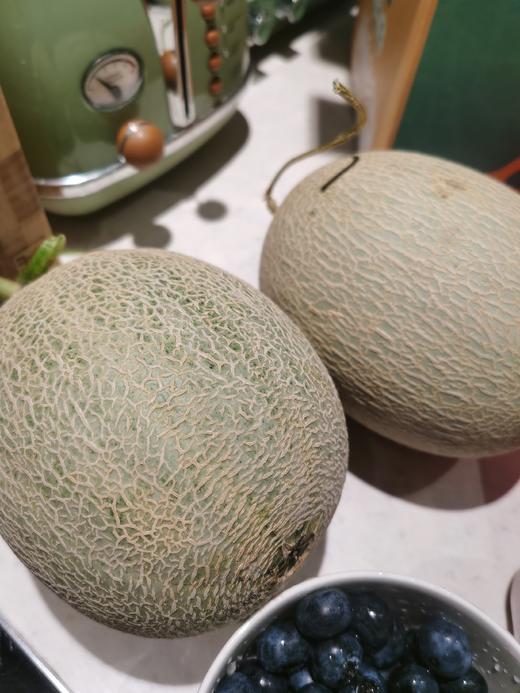 百里家的蜜瓜 全是一藤一瓜 自然成熟 又香又甜 天南地北的好蜜瓜|百里食 商品图6