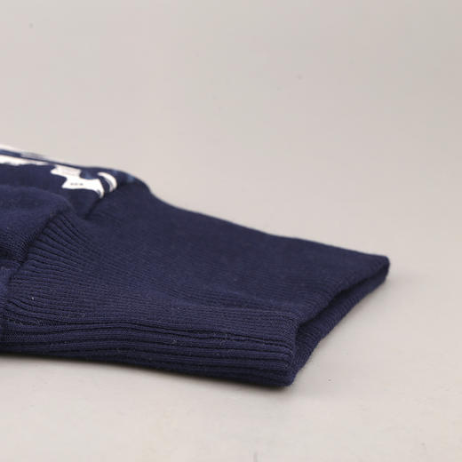 正品PUMA/彪马意大利街头风运动休闲套头卫衣男758723-02 商品图3