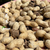 【下单后48小时发货】陈皮花生 450g/袋*2袋 商品缩略图4