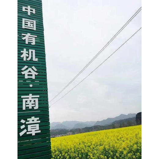 【聚香达脱脂菜籽油2.5L】精选有机谷非转基因双低油菜籽 脱脂专利物理冷榨 饱和脂肪酸低于6% 芥酸远低于国家标准 商品图5