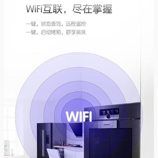 卡萨帝（Casarte）烤箱C7O46CGU1 商品图8