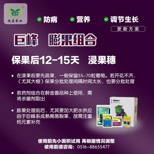 巨峰、巨玫瑰、醉金香葡萄膨果解决方案包 （兑水30斤）安全，防病，高效，操作简单。 商品图1