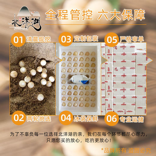 甲鱼蛋食用宝宝辅食新鲜可食生态中华鳖老鳖蛋王八蛋当天现挖 商品图7