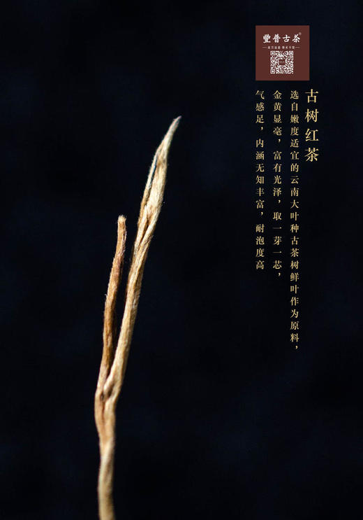 易武红茶（散装500g 密封袋包装） 商品图1