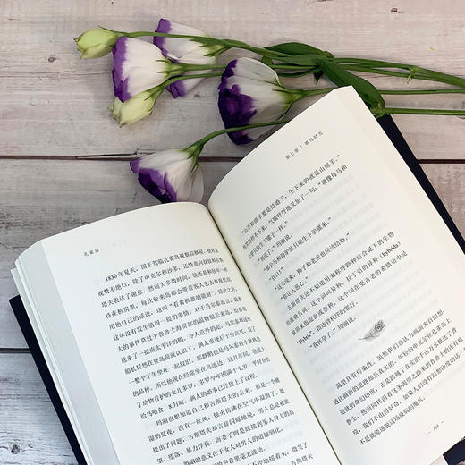 孔雀岛 托马斯赫特书写柏林城外一座岛屿的成长繁荣和衰落 铁皮鼓后又一令人难忘的侏儒形象3000963 商品图5