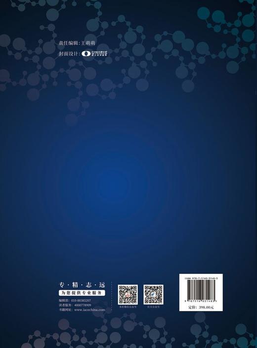 中国先进陶瓷产业大全2020 商品图2