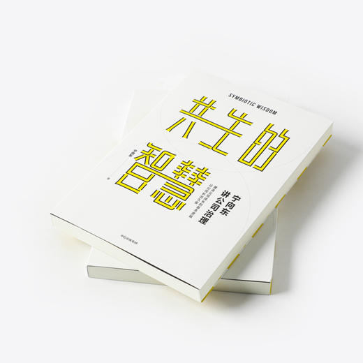 宁向东讲公司治理 共生的智慧 清华名师得到名师宁向东教授数十年积淀 管理者与创业者群体案头书 企业管理 中信 商品图2