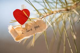 守护最喜欢的人，就要……