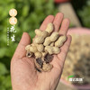 【下单后48小时发货】陈皮花生 450g/袋*2袋 商品缩略图5
