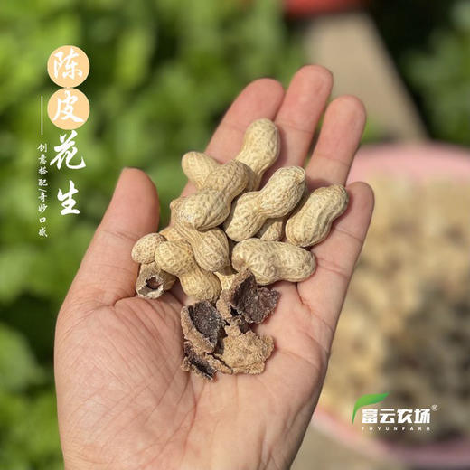 【下单后48小时发货】陈皮花生 450g/袋*2袋 商品图5