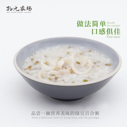 【有机绿豆】当季新豆 发豆芽  全胚芽|350g 商品图2