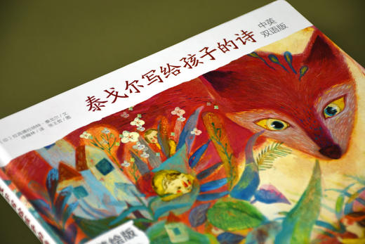 泰戈尔写给孩子的诗 商品图4