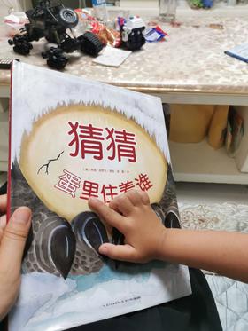 《猜猜蛋里住着谁》：企鹅的蛋竟然比短吻鳄还大