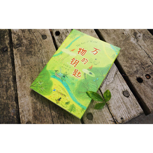 万物的钥匙 2019年暑假期读一本好书 老师推荐暑假小学生五六年级课外阅读书籍6-12周岁儿童故事书图书7-10岁读物肖定丽著 商品图1