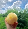 【阳山水蜜桃】香甜好吃，汁水多到惊人，炎热的夏天吃上一口，幸福感爆棚 商品缩略图0