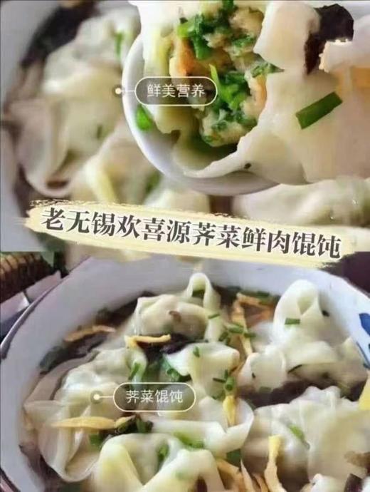老无锡欢喜源荠菜鲜肉馄饨20只 商品图0