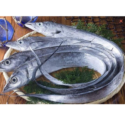 【23.8元2斤】整条带鱼（1500542） 商品图0