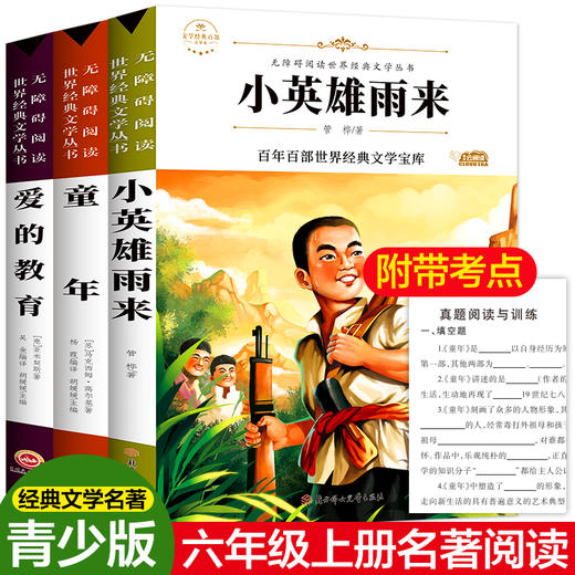 童年爱的教育小英雄雨来六年级必读正版鲁滨逊漂流记爱丽丝漫游仙境尼尔斯骑鹅旅行记汤姆索亚历险记快乐读书吧6年级课外阅读书籍 商品图2