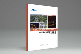 全球生态环境遥感监测2019年度报告——中国城市扩展及生态建设