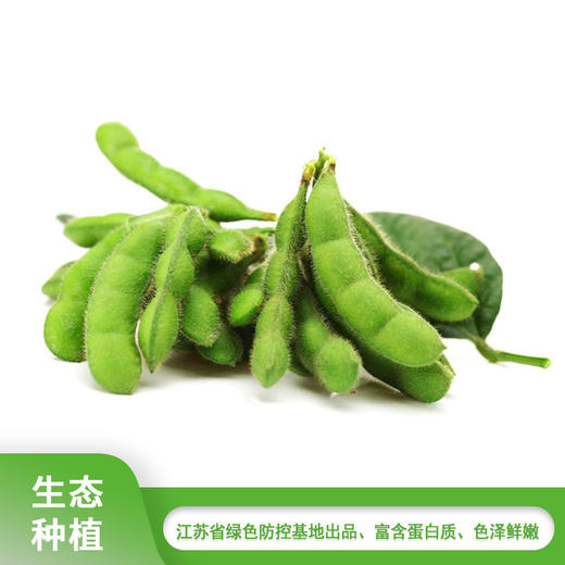 鲜毛豆  带壳（ 500g） 商品图0