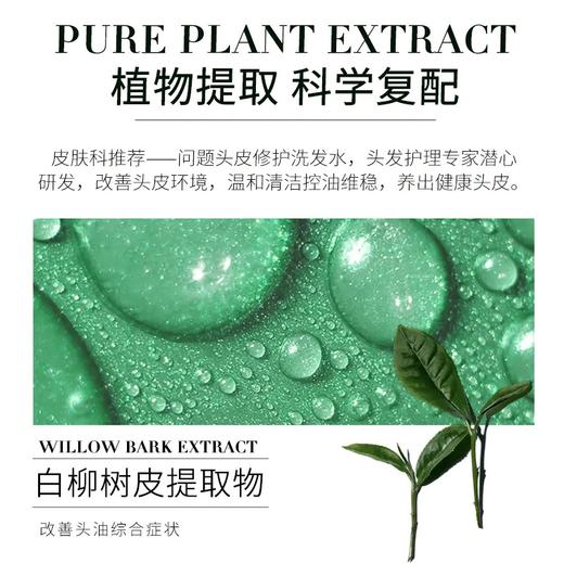 白柳皮控油平衡洗发露200ml 商品图5