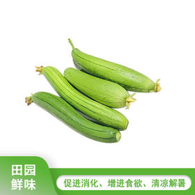 香丝瓜 （650g-750g）