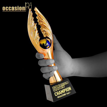 奖杯定制定做树脂共赢纪念奖品儿童年会比赛企业集体表彰用品刻字 商品图0