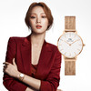 7350068246654 丹尼尔惠灵顿DANIEL WELLINGTON 28mm轻奢精巧雅致金属编织石英表女 DW00100219 商品缩略图1