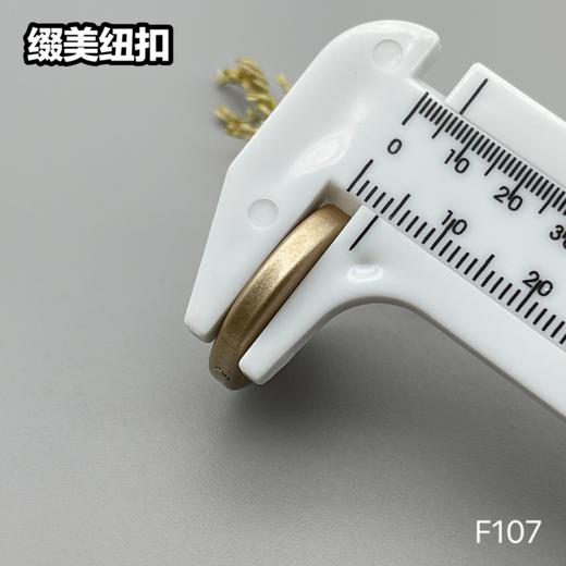 F107(整包购买) 商品图11