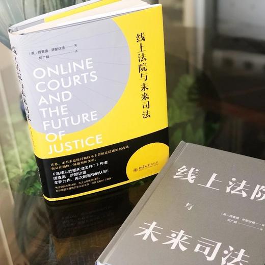 《线上法院与未来司法》作者：〔英〕理查德·萨斯坎德 定价：59元 商品图5