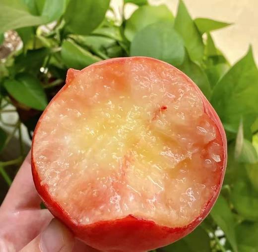 【阳山水蜜桃】香甜好吃，汁水多到惊人，炎热的夏天吃上一口，幸福感爆棚 商品图4