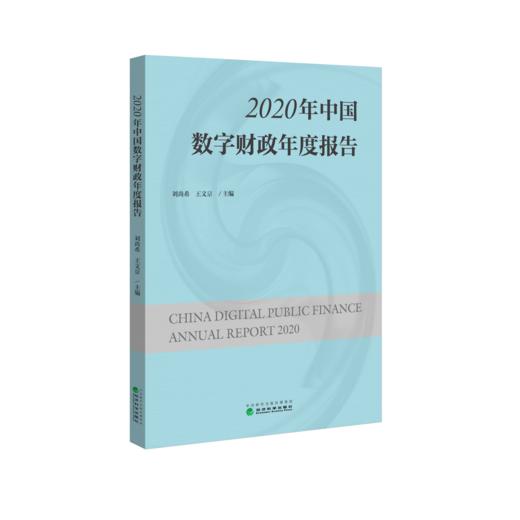 2020年中国数字财政年度报告 商品图1