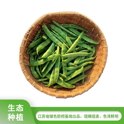 芸豆 250g 商品图0