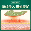 百年扁氏艾草肩周贴（赠品勿拍） 商品缩略图4