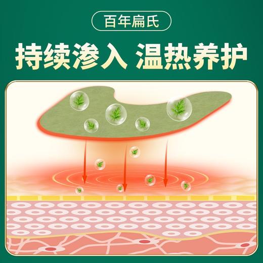 百年扁氏艾草肩周贴（赠品勿拍） 商品图4