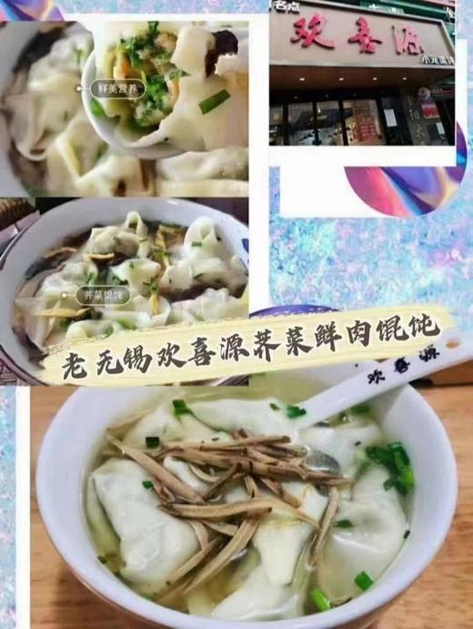 老无锡欢喜源荠菜鲜肉馄饨20只 商品图1