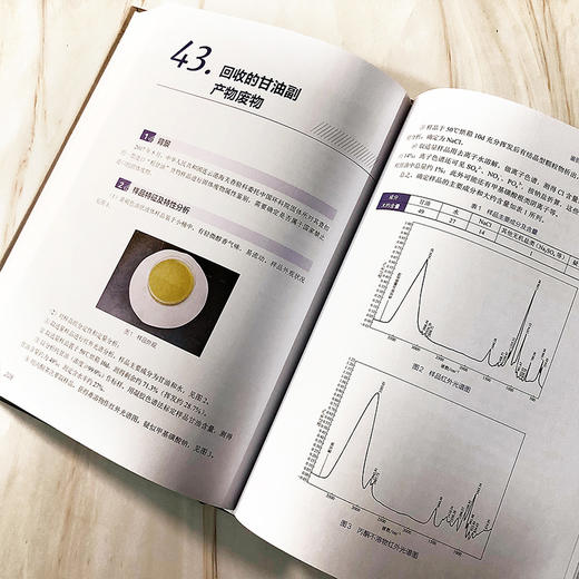 固体废物鉴别典型案例（2013—2020） 商品图6