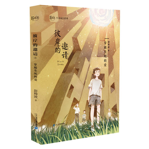 彼岸的邀请全3册舒辉波生命成长系列6-12周岁儿童文学生命成长教育文学五六年级课外阅读书籍 商品图3