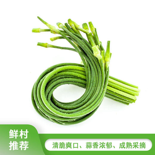 蒜苗【400g】 商品图0