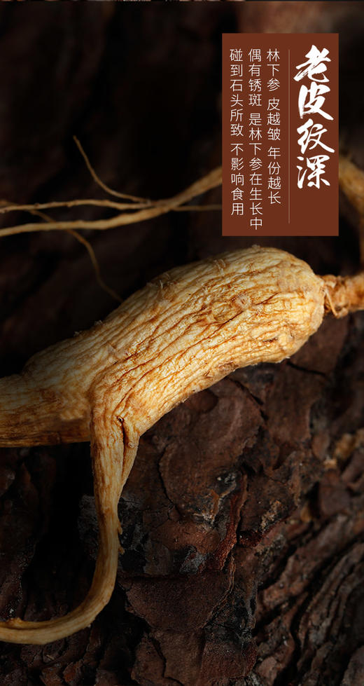 林下山参人参长白山礼盒送礼自用煲汤泡酒30克/50克/盒 商品图4