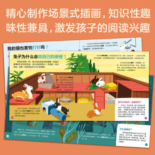 【5本】我的小问题第4辑 儿童书籍幼儿科普绘本阅读启蒙亲子博物大百科全书十万个为什么5/6/7/8/9/10岁畅销书 商品图4